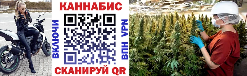 Наркошоп купить ГАШИШ  Кокаин  A-PVP  АМФ  Меф мяу мяу  Камышлов
