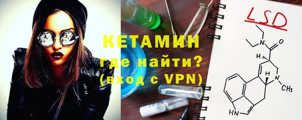 прущие грибы Гусев