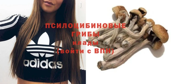 круглые Дмитриев