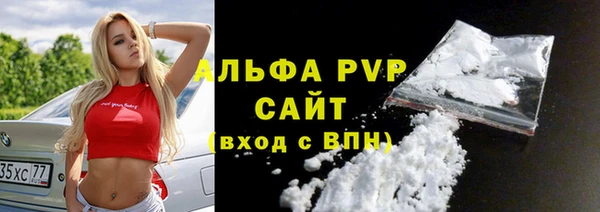прущие грибы Гусев