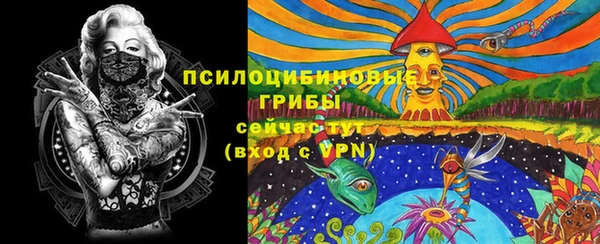 круглые Дмитриев