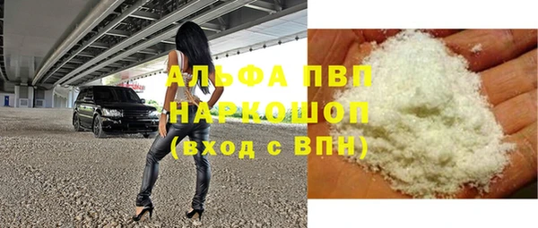 прущие грибы Гусев