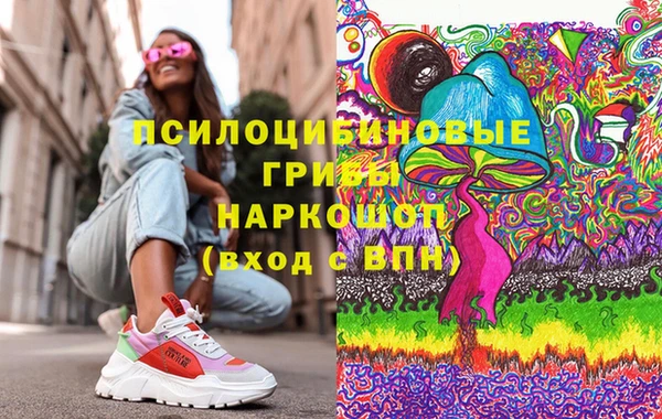 дурь Дмитров