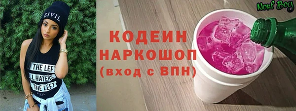 прущие грибы Гусев