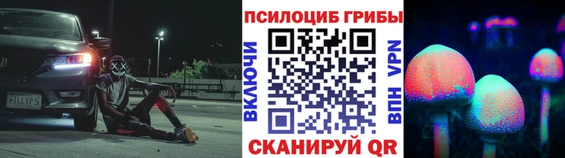 Галлюциногенные грибы прущие грибы  Купить  Камышлов 